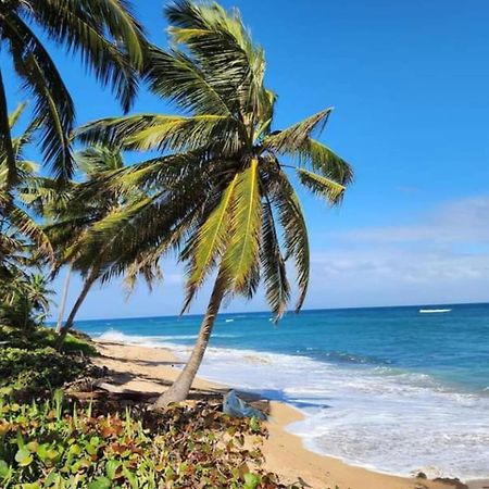 White Paradise Seaside Haven Relax And Unwind Apartment Vega Baja Exterior foto